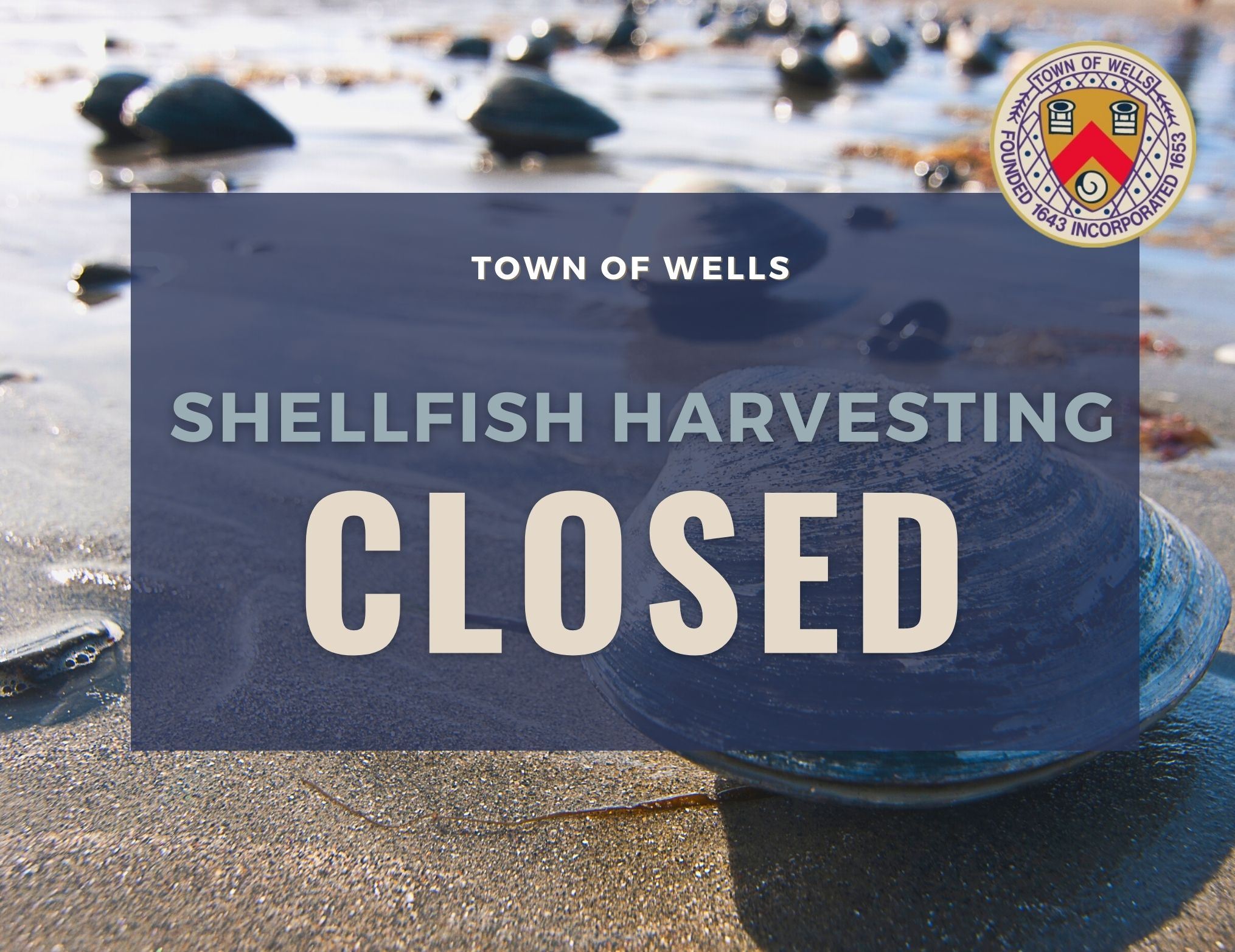 Shellfish Harvesting (2)