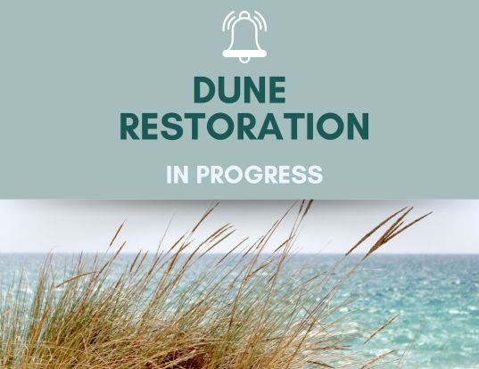 Dune Restoration (537 x 414 px)