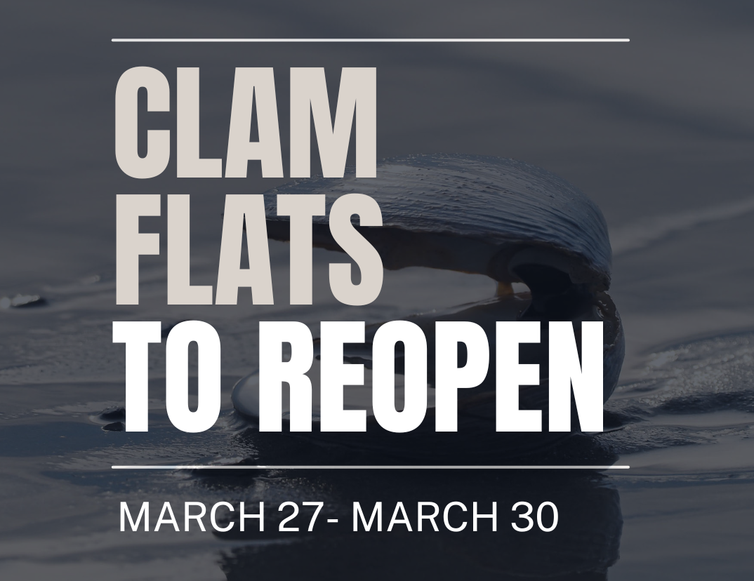 Clam Flats to Reopen