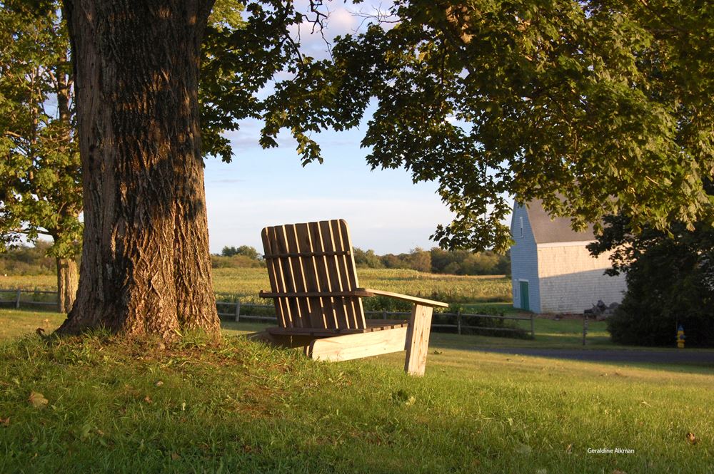 laudholm_chair3